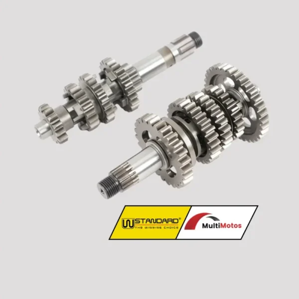 CAJA TRANSMISION SUZUKI EN125/GS125/GN125H EMT: 159 EMB: 167 WSTANDARD